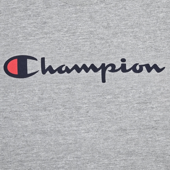 Champion Gray Men's T-Shirt SIZE:LARGE - Picture 3 of 9